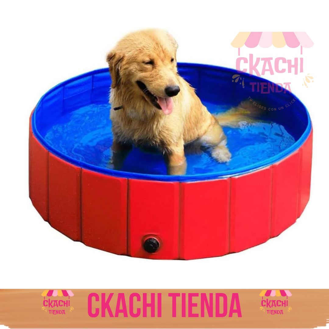 Piscina Plegable Para Mascotas 🐕 🐈🐩